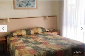 Black Swan Motel inn